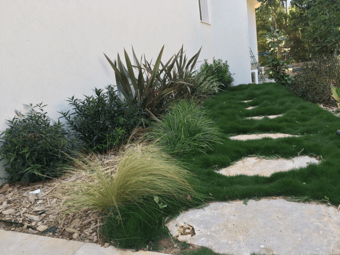 עיצוב גינה 4